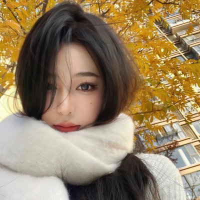 路易十四的死亡记事